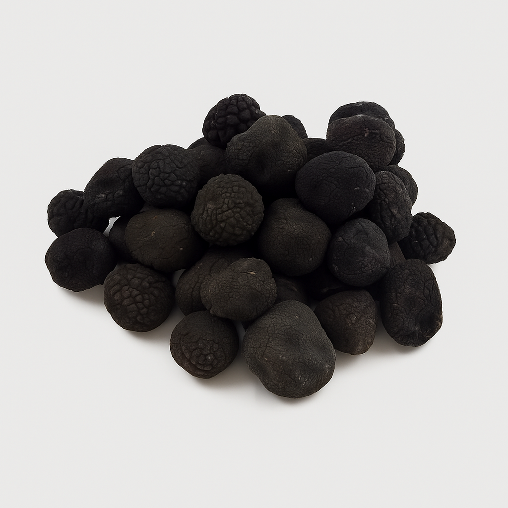 trufa negra melanosporum